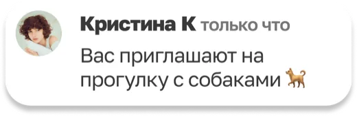 Кристина К: Вас приглашают на прогулку с собаками