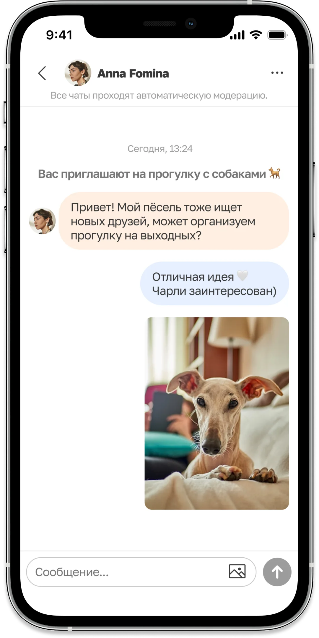 Скриншот приложения Норм: чат